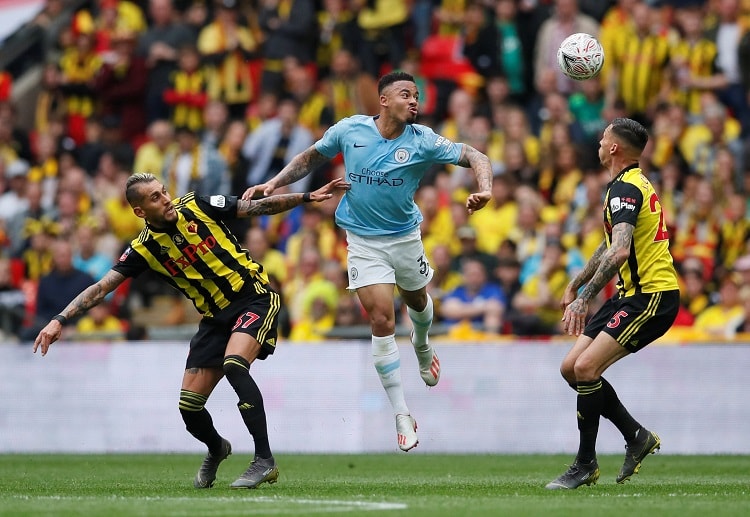 Goals from Gabriel Jesus and Raheem Sterling lead Manchester City to victory in the FA Cup