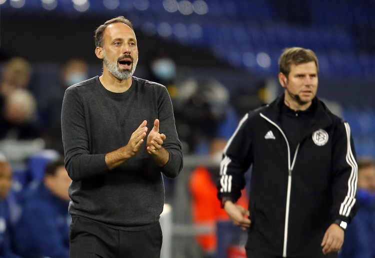 VfB Stuttgart coach Pellegrino Matarazzo encourages his players during a Bundesliga game against Schalke 04