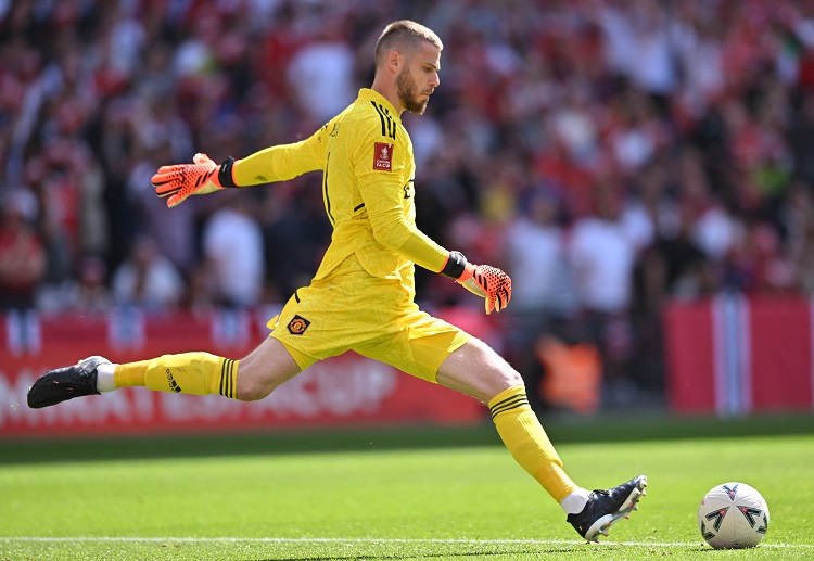 David de Gea has signed with Fiorentina for the 2024-25 Serie A season