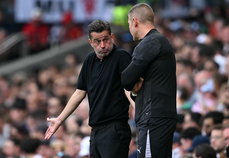 Fulham are currently eighth in the Premier League table